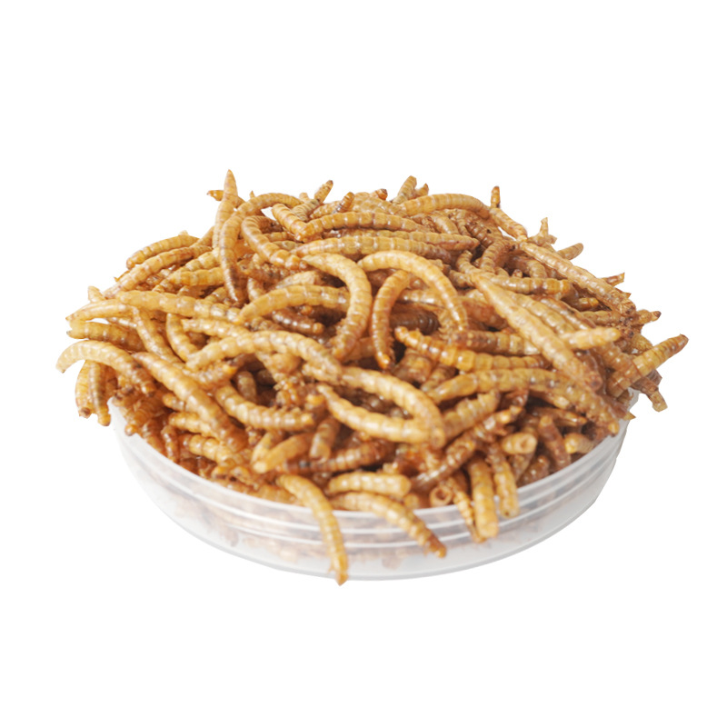 Food And Snacks High In Protein - Snacks de Alta Proteína para Hamsters,